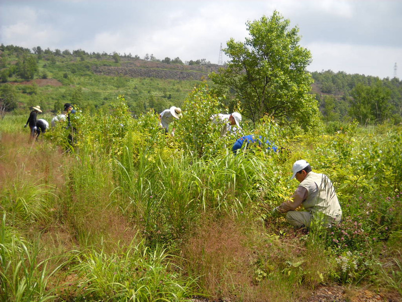 Dscn1364_2 Dscn1364_2