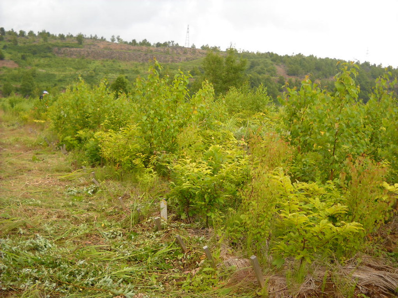 Dscn1398_2 Dscn1398_2