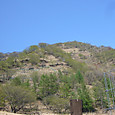 P1010567