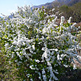 P1010576_2