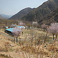 Dscn9790