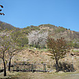 Dscn9851