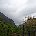 Dsc00544_2