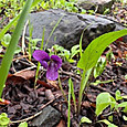 Photo_26