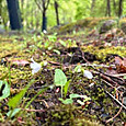 Photo_27