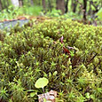 Photo_28