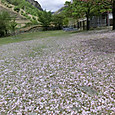 Cimg0027
