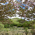 Cimg0029_2