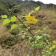 Cimg0044