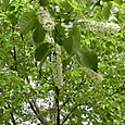 Cimg0051