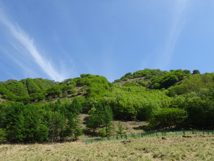 Dsc01431