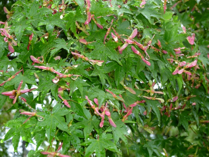 P1000500