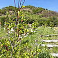 Photo_4