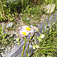 Photo_5