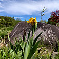 Photo_6