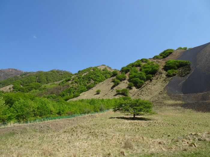 Dsc00514