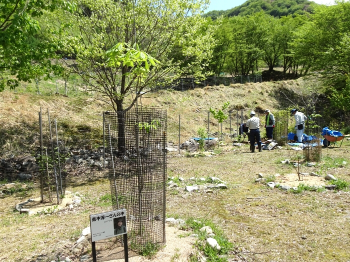 Dsc00538_2