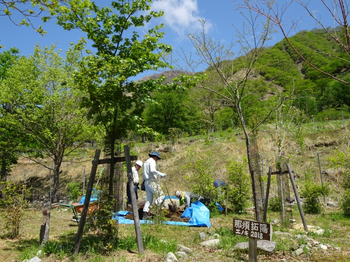 Dsc00544