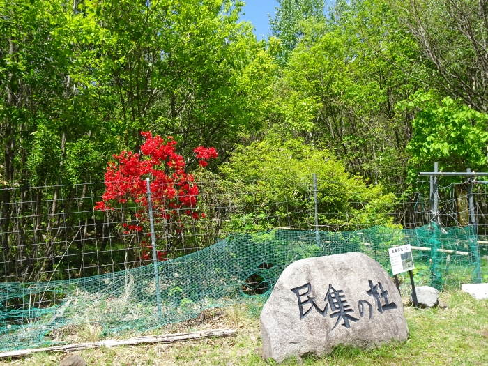 Dsc00644