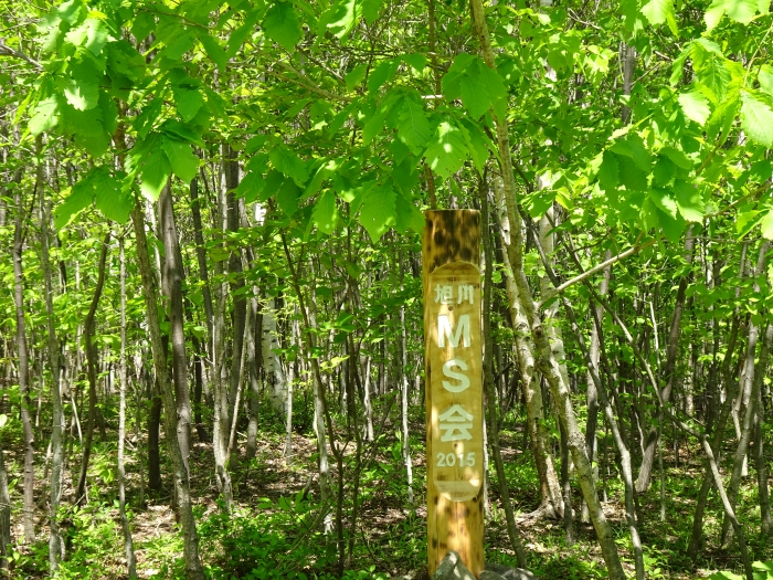 Dsc00650