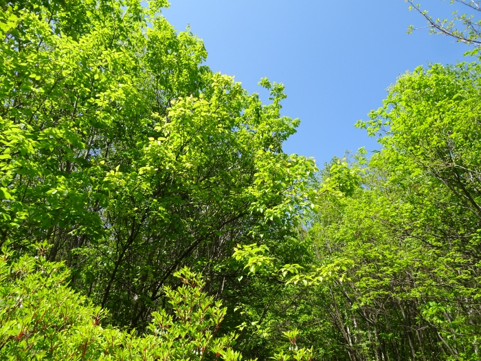 Dsc00651
