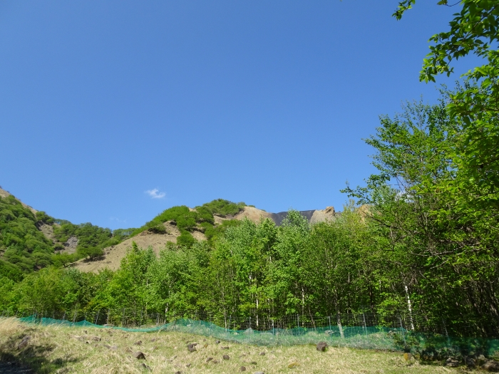 Dsc00759
