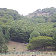 Dscn0044