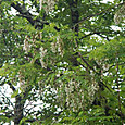 Dscn0064