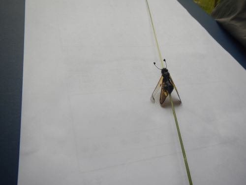 Dscn2736_2