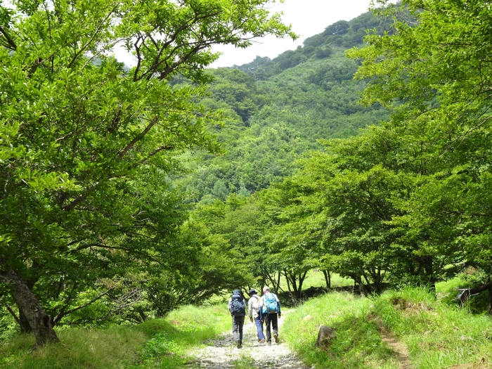 Dsc03455