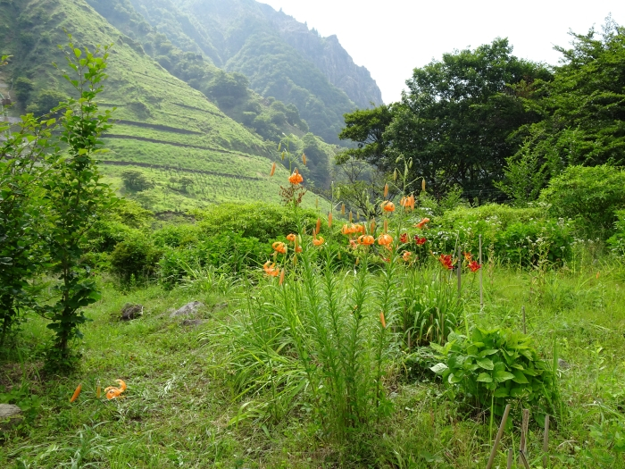 Dsc03490