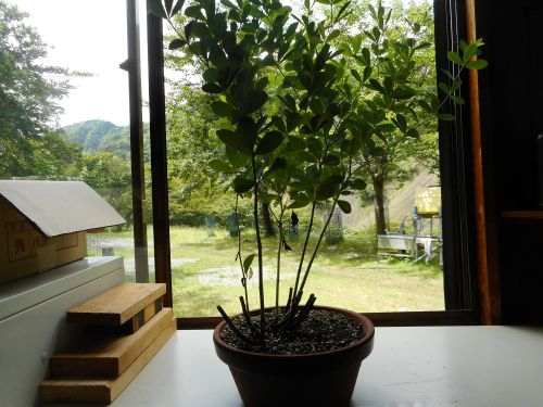 Dscn0786
