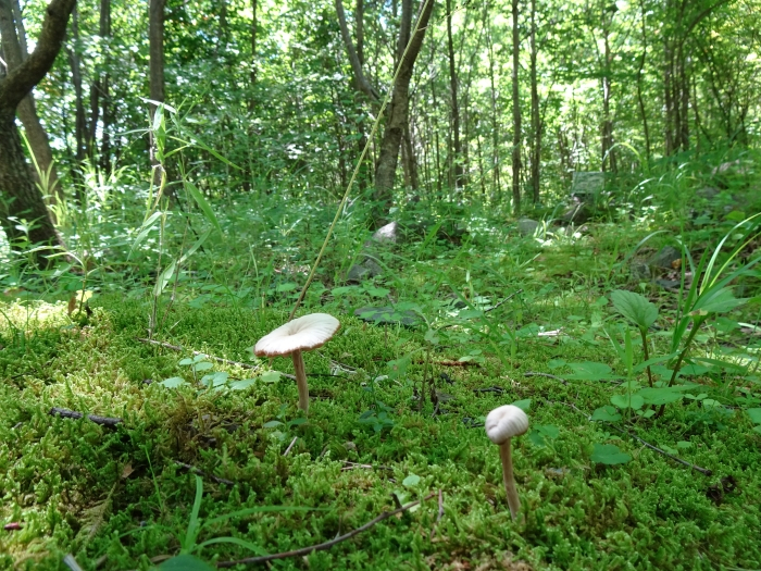 Dsc03654