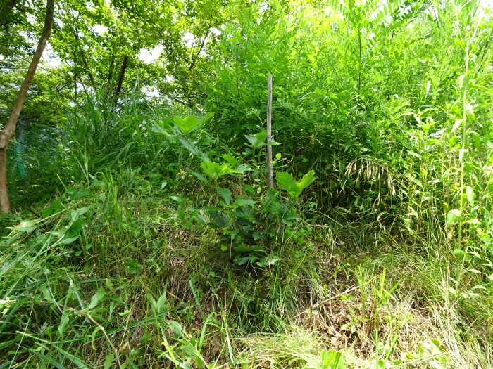 Dsc03914
