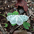 Dsc04357