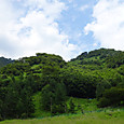 Dsc04385