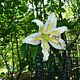 Dsc048101_2