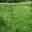 Dsc04979