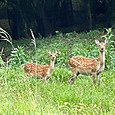 Img_8028