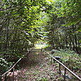 Photo_11