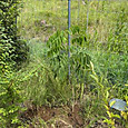 Photo_2