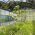 Photo_3
