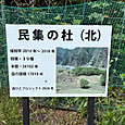 Photo_7