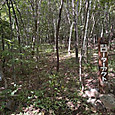 Photo_8