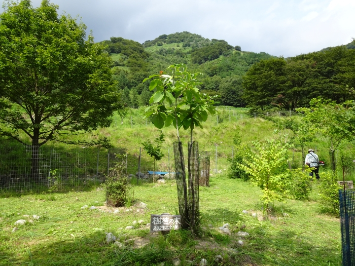 Dsc05819