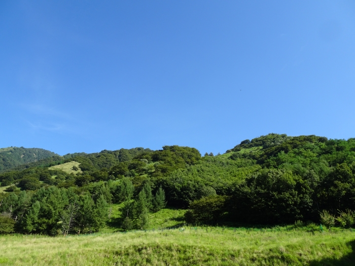 Dsc06054