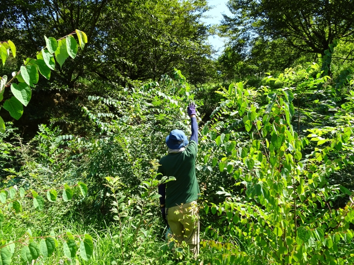 Dsc06119