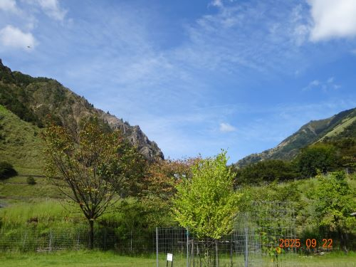 Dsc00589