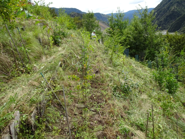 Dsc07108