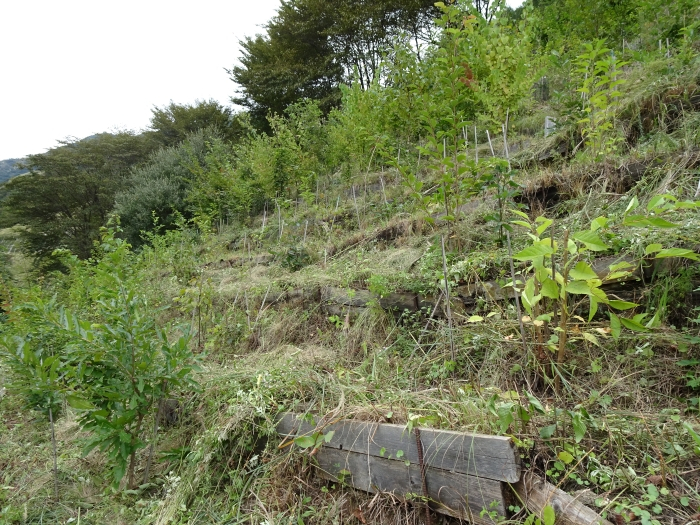 Dsc07158